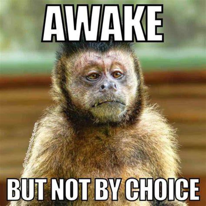 101 Relatable "I'm So Tired" Quotes To Express Your Exhaustion