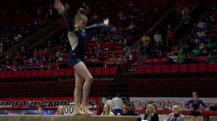 2004 IHSAA Gymnastics