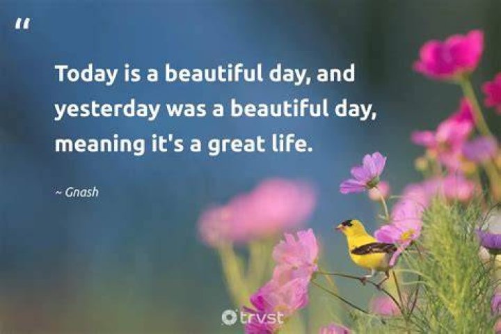 50+ Inspiring Quotes About Another Beautiful Day