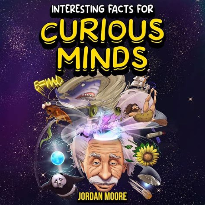 A Complete Guide For Curious Minds