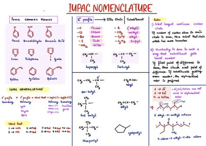 A Guide To Clown Nomenclature