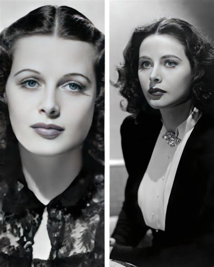 A Hollywood Icon And True Star