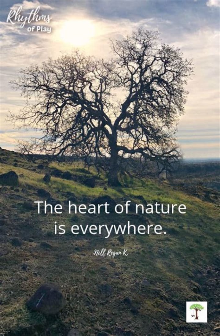 A Hometown Haven In The Heart Of Nature