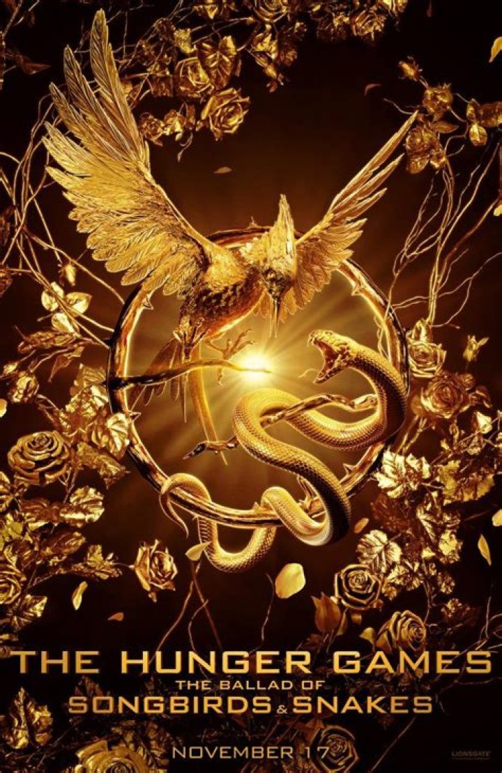 A Journey Into The Heart Of The Hunger Games