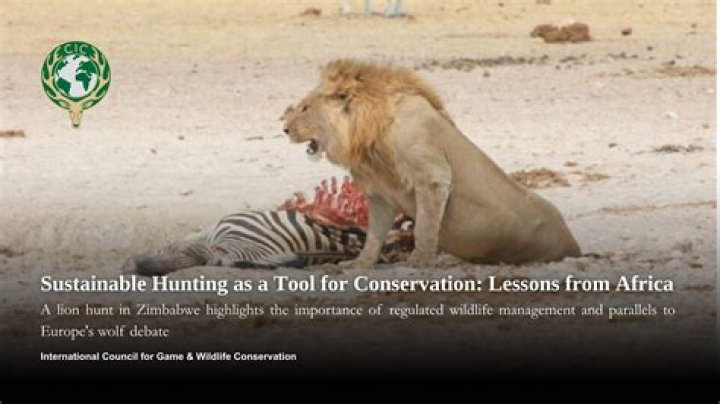 A Journey Of Conservation And Hunting