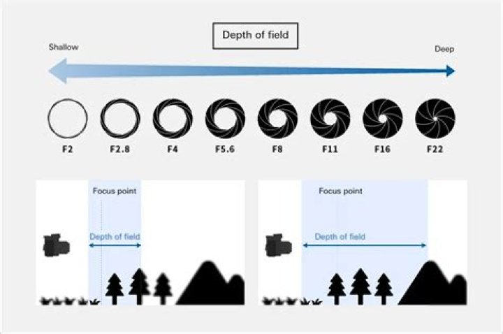 A Journey Of Depth And Range