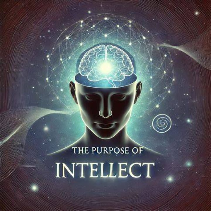 A Journey Of Intellect And Triumph