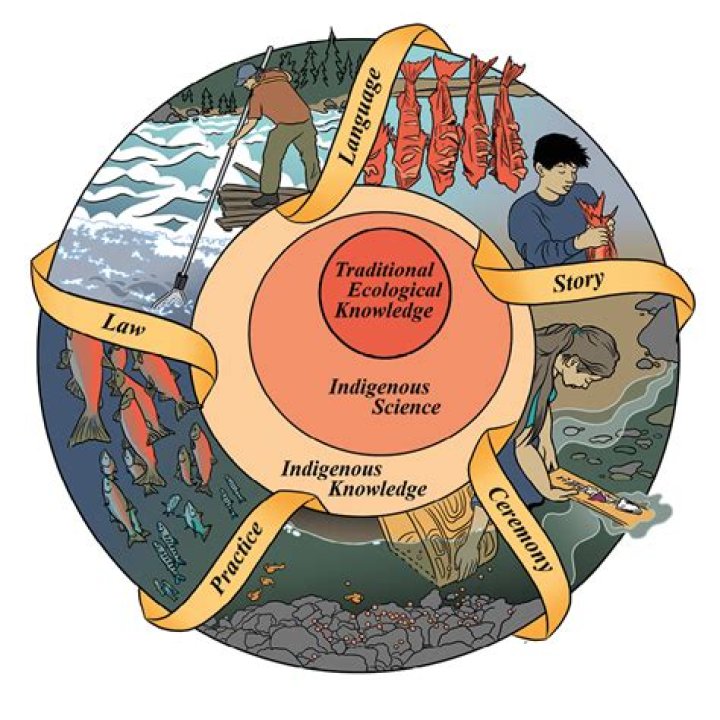A Journey Of Interconnectedness And Discovery