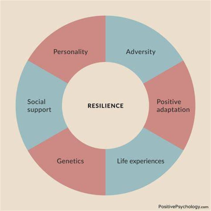 A Journey Of Resilience And Identity