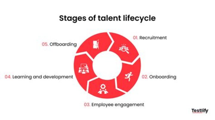 A Journey Of Talent And Experience