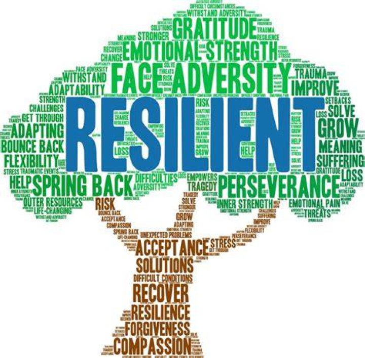 A Legacy Of Resilience And Resistance