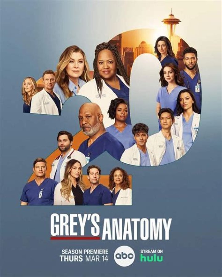 A Pivotal Figure In Grey's Anatomy