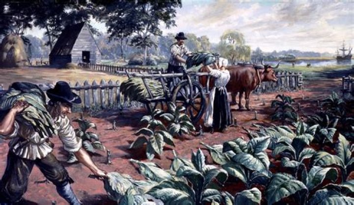 A Tale Of Tobacco, Trade, And Matrimony