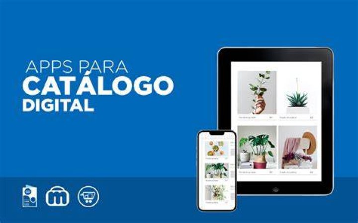 Actualización de Catálogos para Códigos Postales