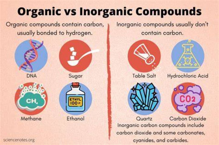 All About Organic And Inorganic Molecules