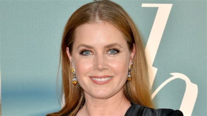 Amy Adams: David O. Russell made me cry most days during American Hustle