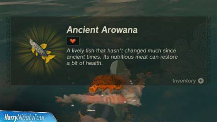 An Arowana Fish Location Guide For The Latest Installment Of The Legend Of Zelda Series