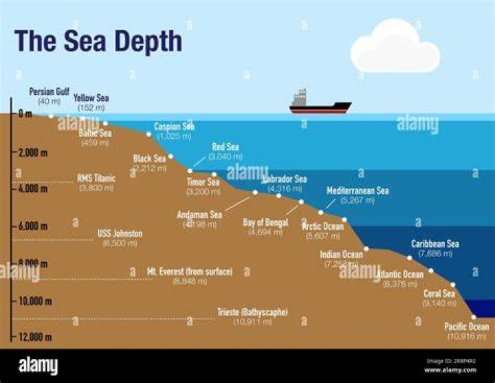 An In-Depth Look At The Cause