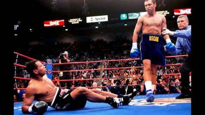 Analyzing The Legacy Of Oscar De La Hoya: A Heritage Of Boxing Excellence