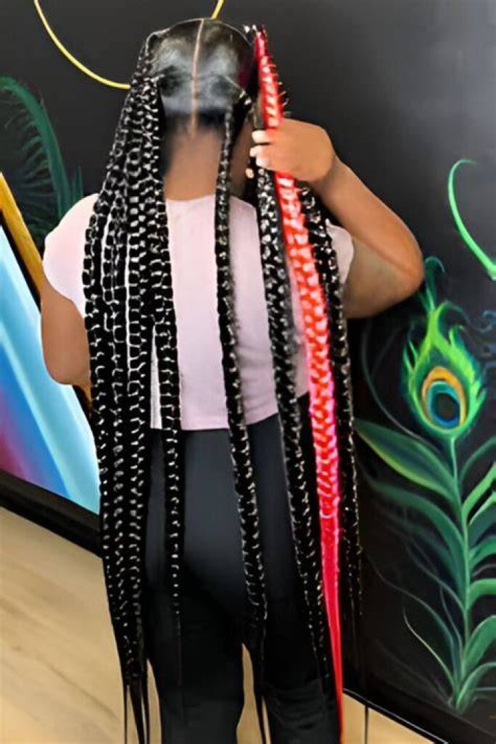 Artistic Jayda Wayda Braids For A Unique Style