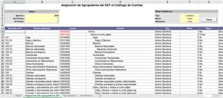Asigna los dígitos agrupadores SAT