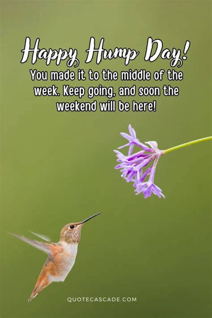 Awesome Happy Humpday Images To Brighten Your Midweek!