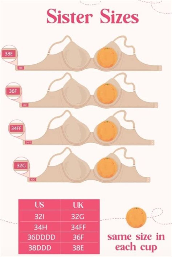 Bra Size And Style On Display