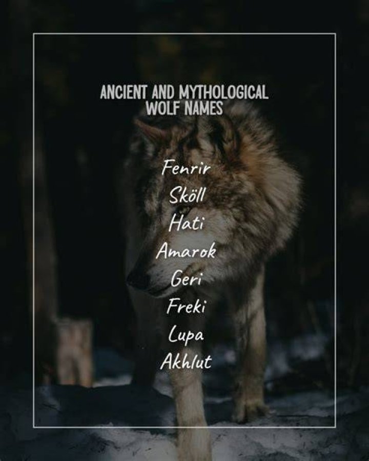 Captivating Mythical Wolf Names: Legendary And Enchanting