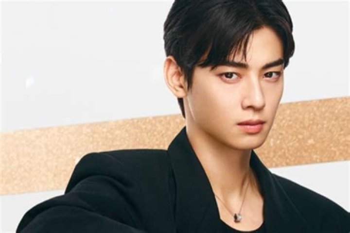Cha Eun-woo's Marriage Announcement: A Sweet Surprise For Fans