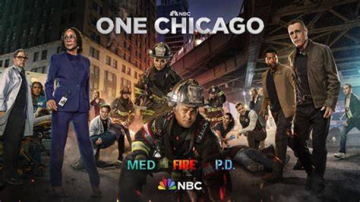 Chicago P.D. Cast Member Deaths Explored