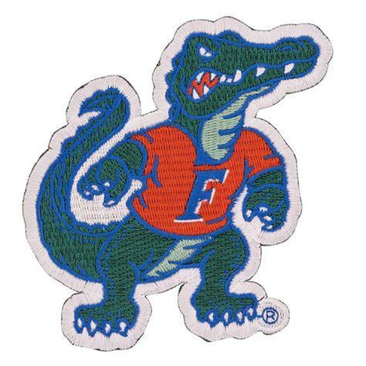 Community Impact And Gator Spirit Revealed