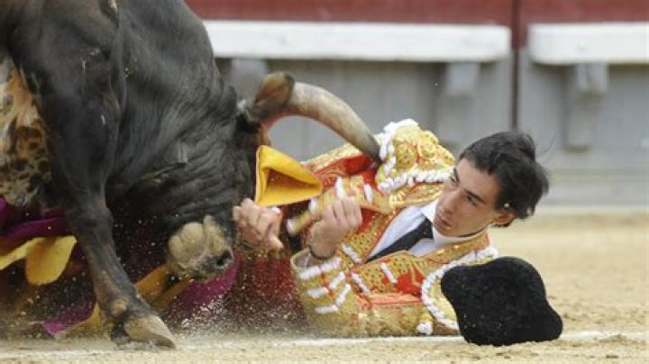 Competitor in a bullfight - BlinkSync