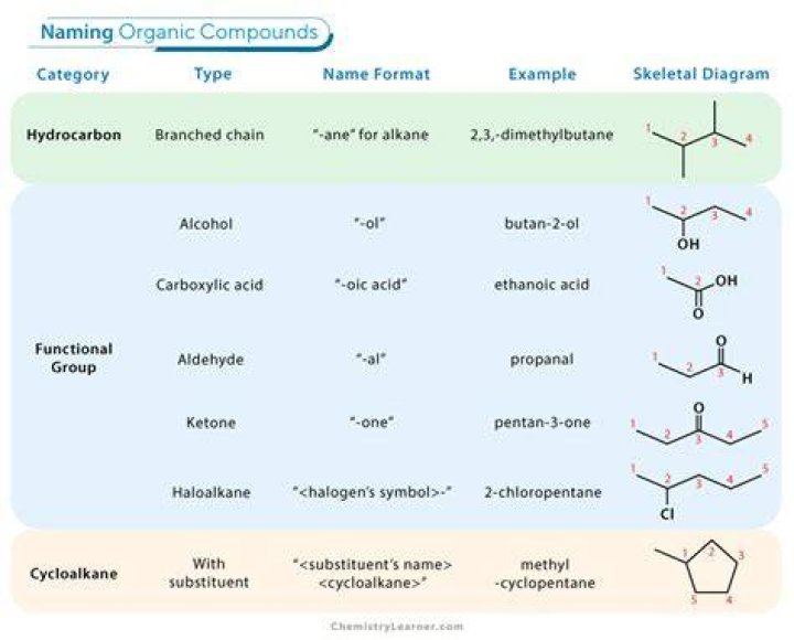 Comprehensive Guide To Examples Of Organic Molecules