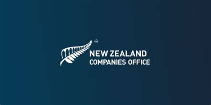 Comprehensive Guide To The Companies Office New Zealand For Business Success
