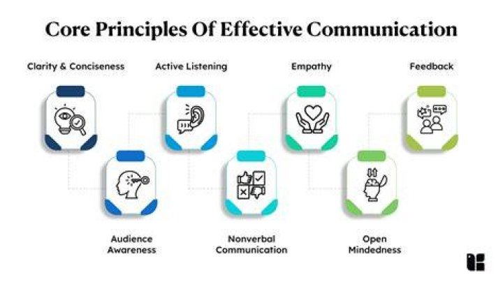 Concisely Articulating Like Conor McGregor: A Masterclass In Effective Communication