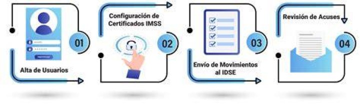 Conexión en línea con IDSE