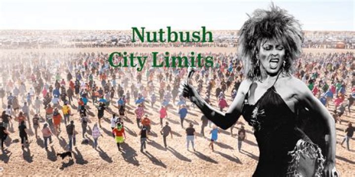 Courtney Hadwin's Epic Rendition Of "Nutbush City Limits" On The Voice