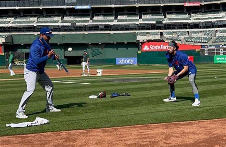 Dansby Swanson: The Dynamic Shortstop