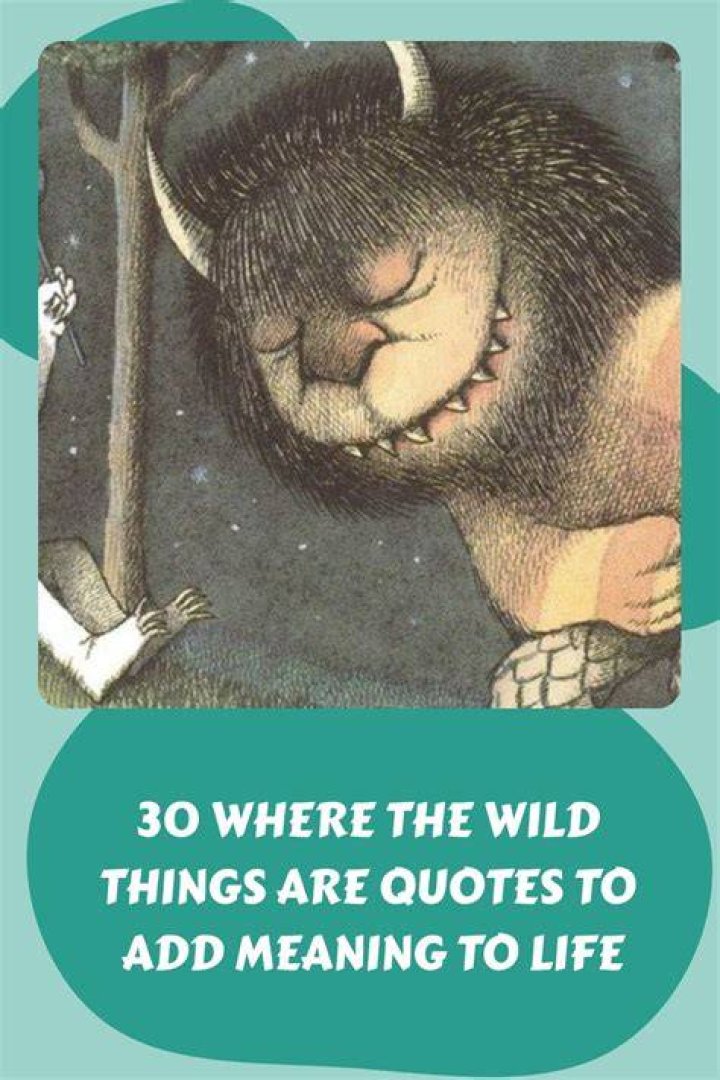 Decoding The Enigmatic Meaning Of "Out Where The Wild Things Are"