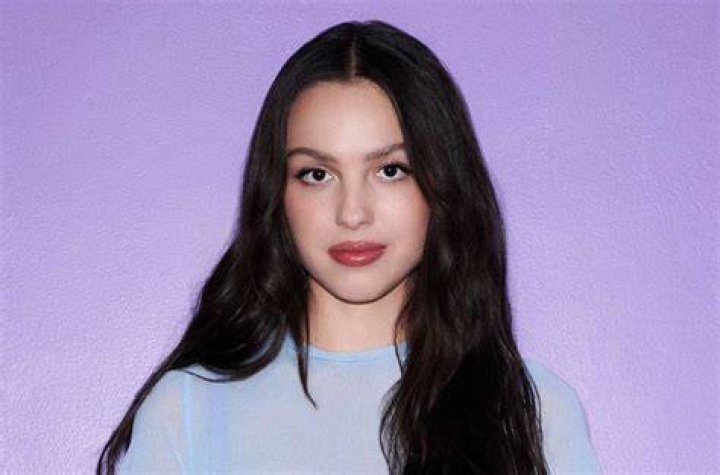 Descubre Los Trabajos Secretos De Los Padres De Olivia Rodrigo