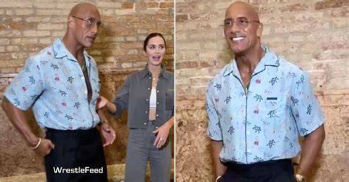 Did Dwayne Johnson Always Have A Twin That He Kept Secret?