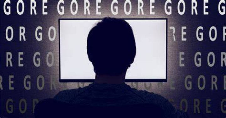 Discover Superior SEO Solutions With Seegore.com