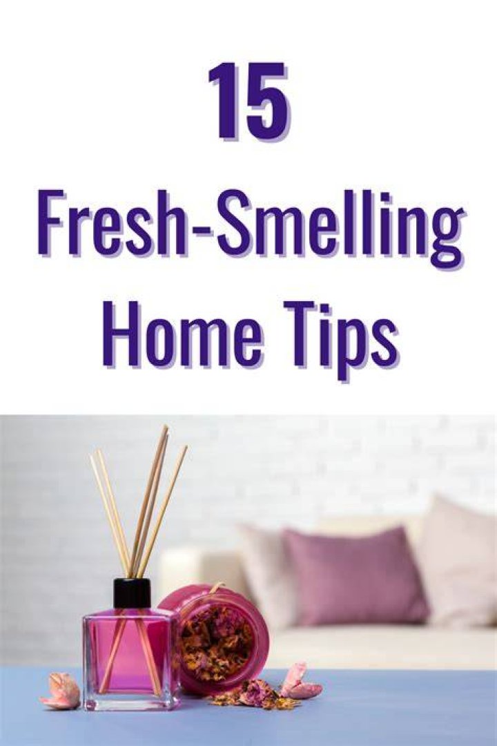Discover The Best Solutions For A Fresh-Smelling Home