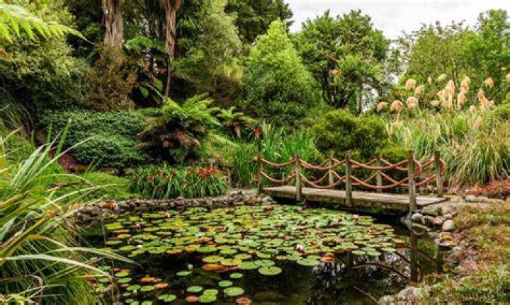 Discover The Enchanting Gardens Of Jane Dobbins Green