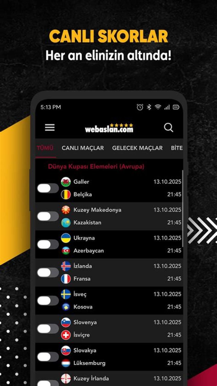 Discover The Leading Webaslan In Turkey