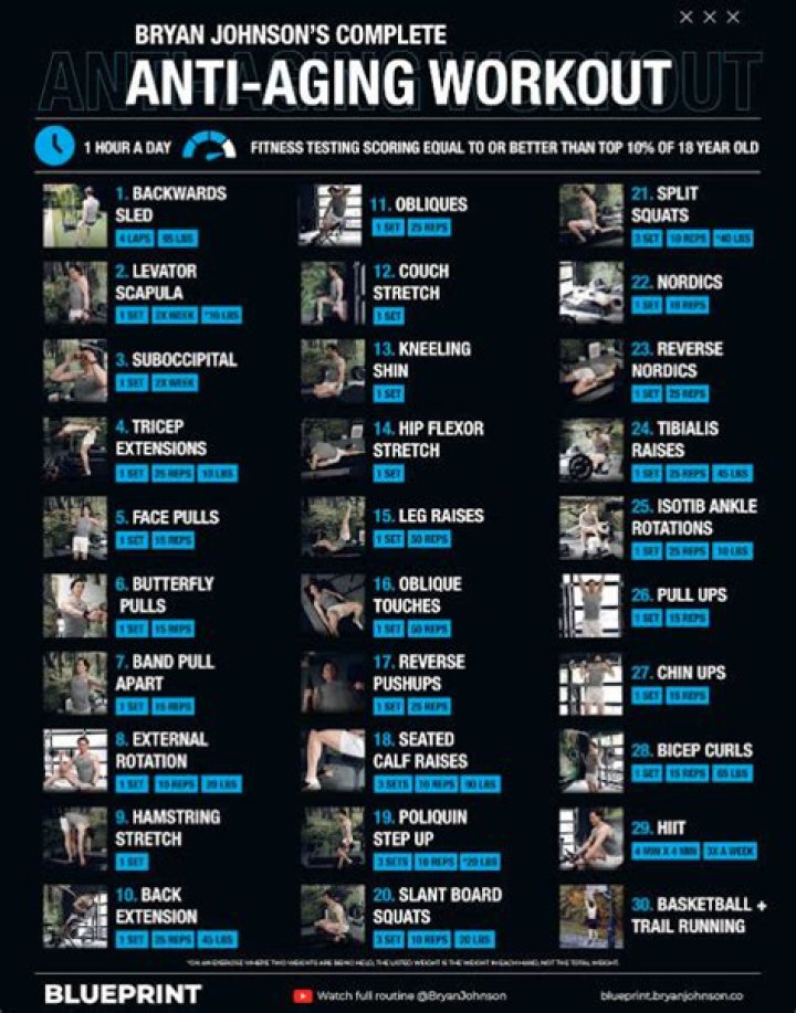 Discover The Ultimate Tyl Diet And Workout Blueprint For Success