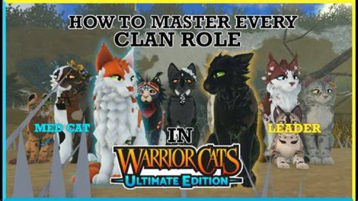 Discover Your Warriors Clan Lineage