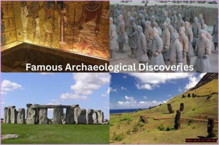 Discoveries And Insights For The Savvy