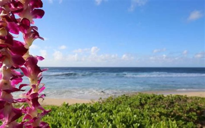 Discoveries And Insights In Hawaii