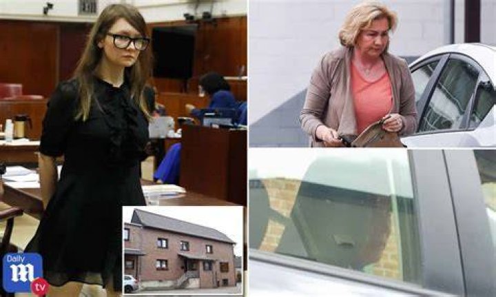 Dive Into The Intriguing Mystery Of Anna Delvey's Father